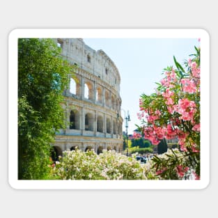 Colosseum Rome, Italy Sticker